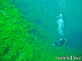 foto de buceo