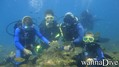 foto de buceo