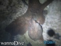foto de buceo