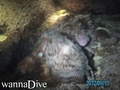 foto de buceo