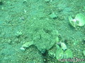 foto de buceo