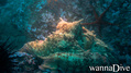 foto de buceo