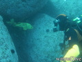 foto de buceo