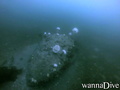 foto de buceo