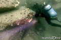foto de buceo