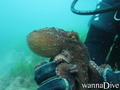 foto de buceo