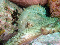 foto de buceo