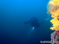 foto de buceo