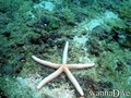 foto de buceo