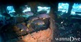 foto de buceo