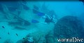 foto de buceo