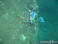 foto de buceo