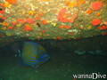 foto de buceo