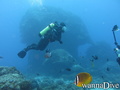 foto de buceo