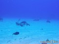 foto de buceo