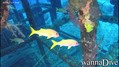 foto de buceo