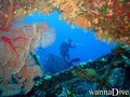 foto de buceo