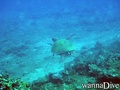 foto de buceo