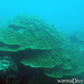 foto de buceo