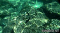 foto de buceo