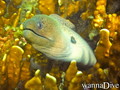 foto de buceo