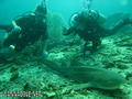 foto de buceo