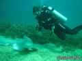 foto de buceo