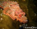 foto de buceo