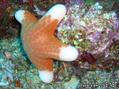 foto de buceo