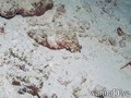 foto de buceo
