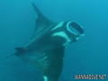 foto de buceo