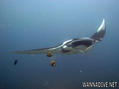 foto de buceo