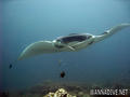 foto de buceo