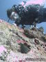 foto de buceo