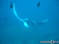 foto de buceo