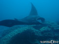 foto de buceo