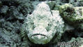 foto de buceo