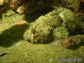 foto de buceo