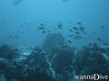 foto de buceo