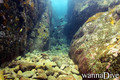 foto de buceo