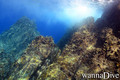 foto de buceo