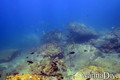 foto de buceo