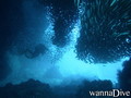 foto de buceo