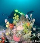foto de buceo