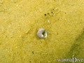 foto de buceo