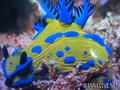 foto de buceo