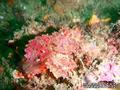foto de buceo