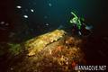 foto de buceo