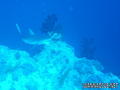 foto de buceo