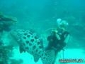 foto de buceo